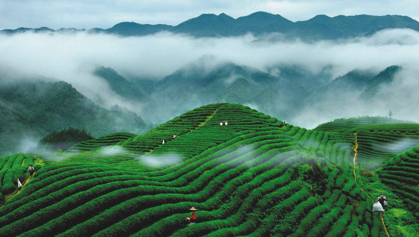 老四川茶文化